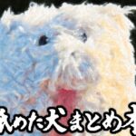 舐めた犬まとめ本