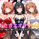 キセカエオナペット -やはり俺の◯春ラブコメはまちがっている篇-【愛玩ファクトリー】｜